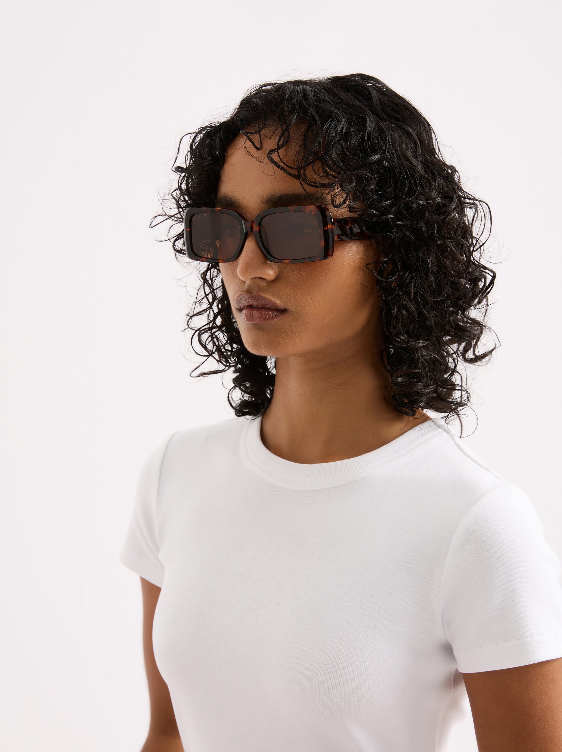 Tanner Sunglasses Tortoiseshell 