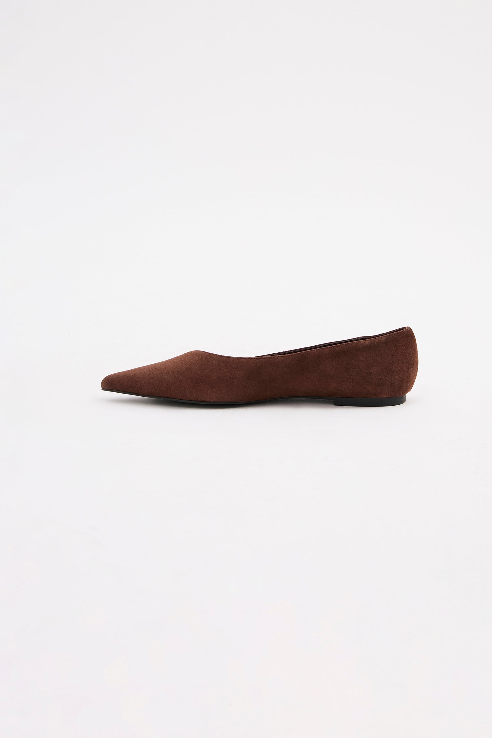 Sonnet Pointed Flat Raisin 