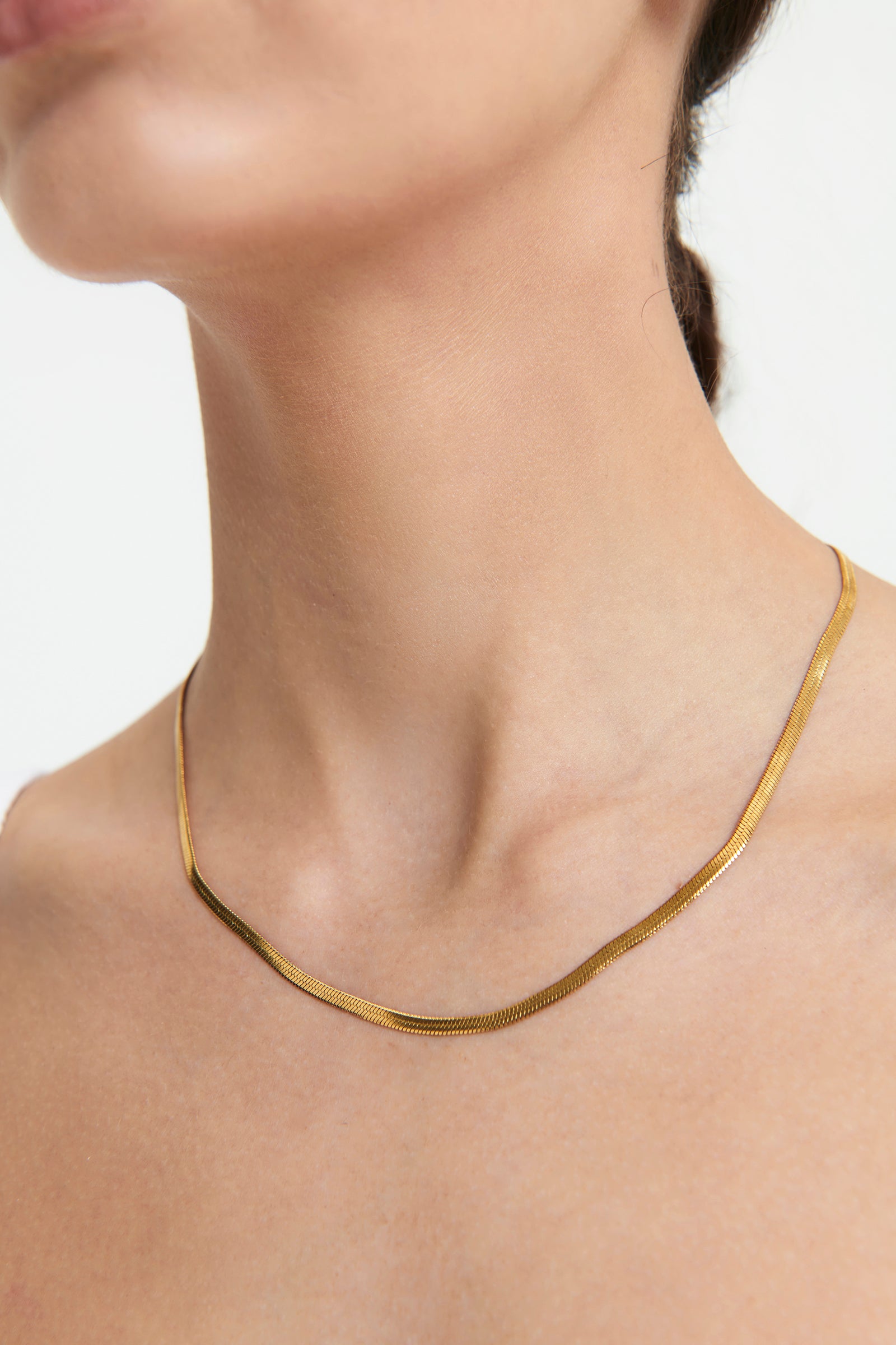 Nude Lucy Sphinx Snake Chain Mm In Gold 